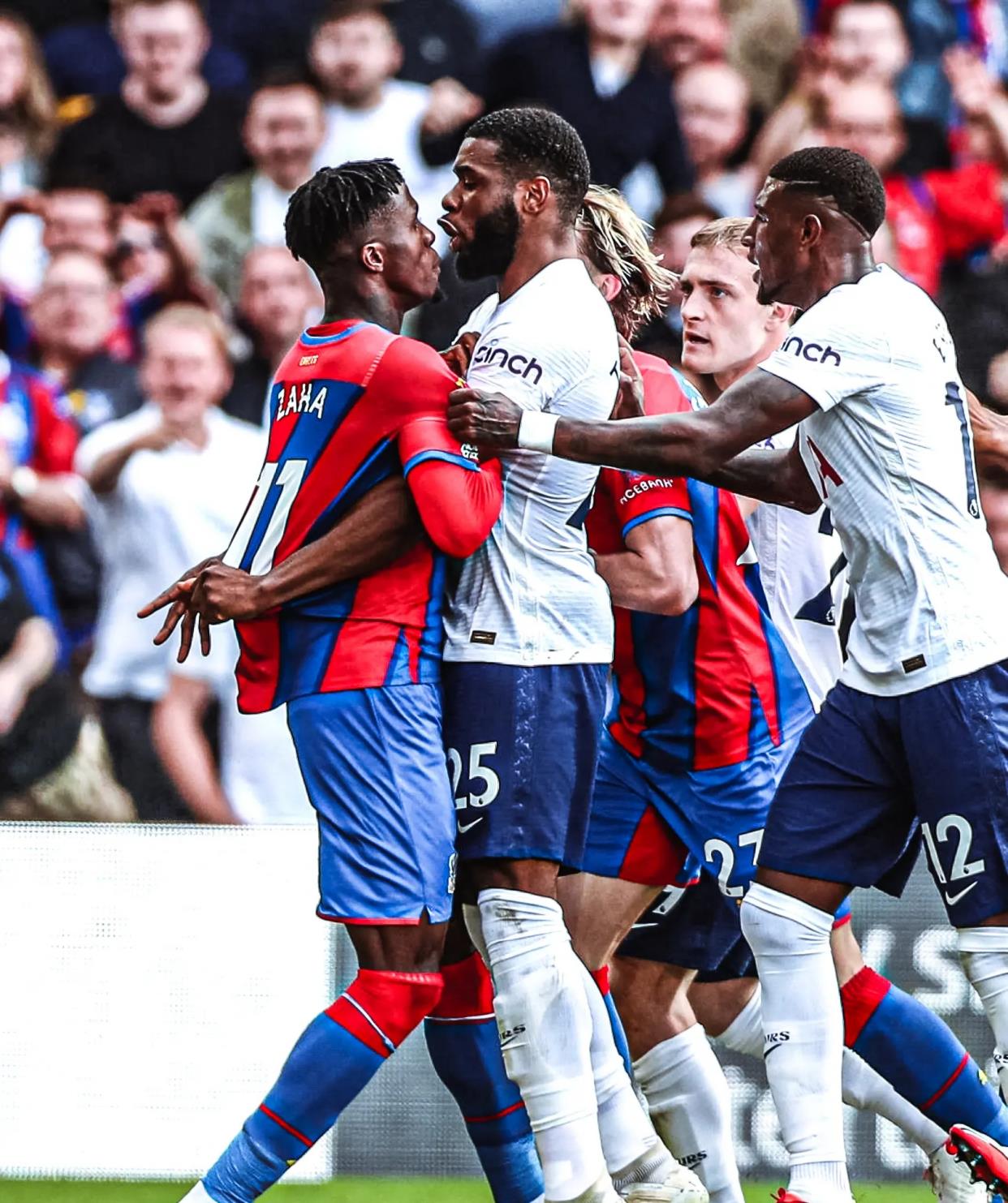 蓬勃发展 蓬勃发展